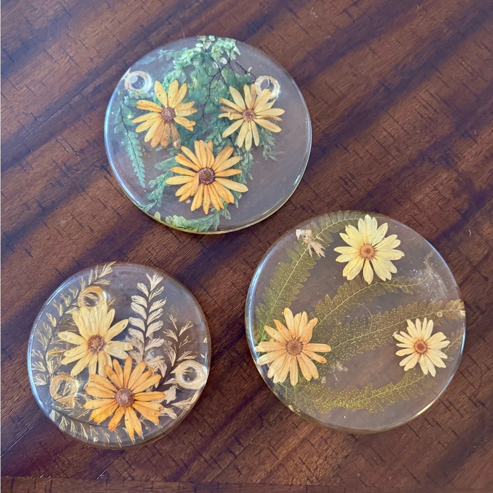 Vintage 70s  lucite pressed flower coasters trivet set European antique home